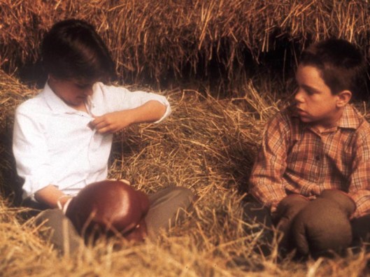 Uma das cenas emblemáticas de "Minha vida de cachorro" (1985), em que a menina, que fingia ser garato, revela-se como tal ao menino